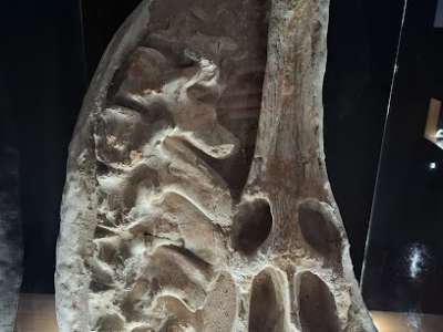 Muzeum Minerałów  foto